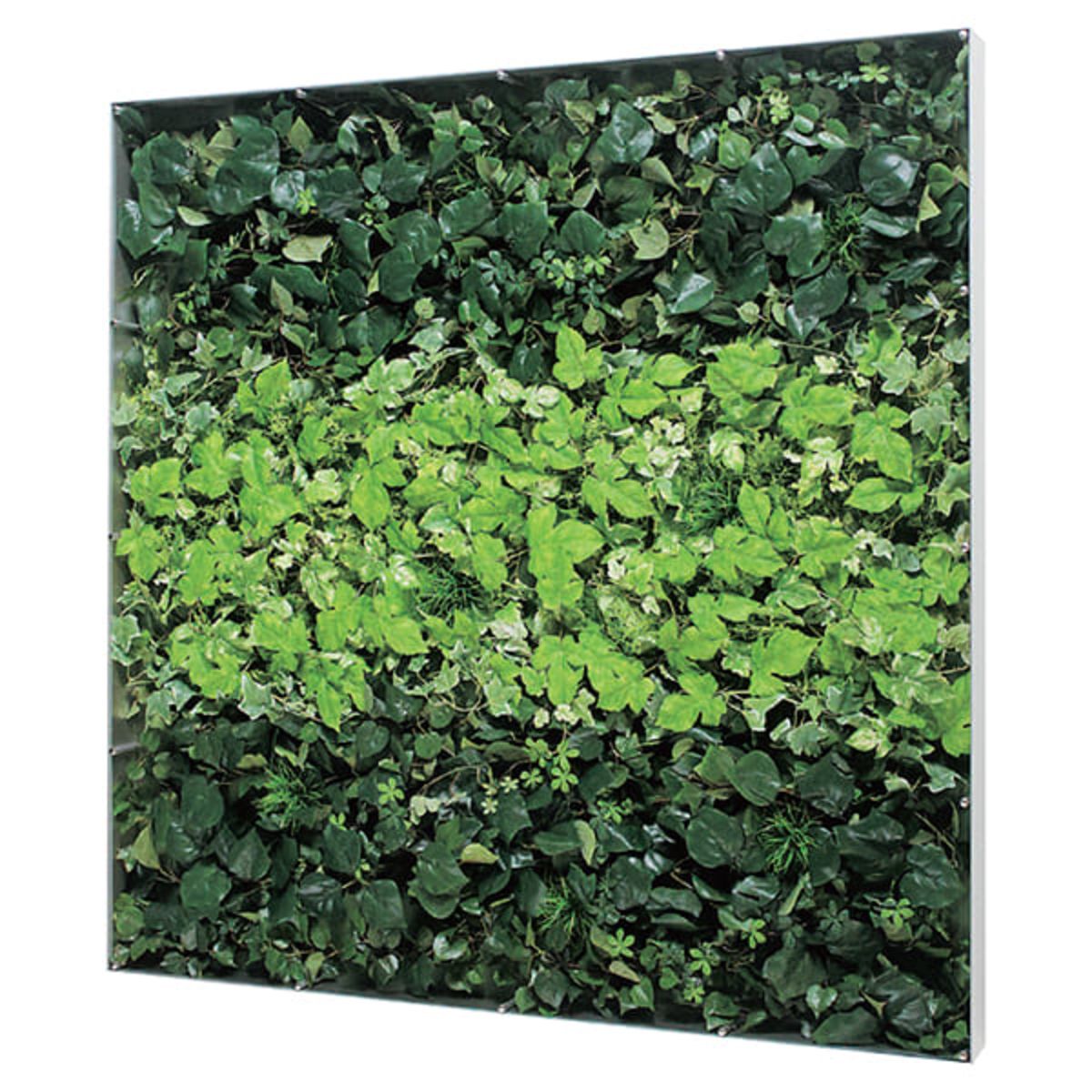 ウォールグリーン GR3571-画像1