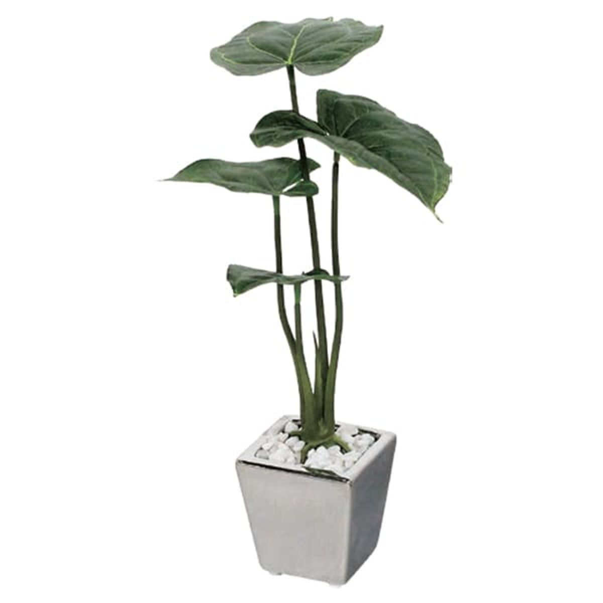 ミニポット GR4107-画像1