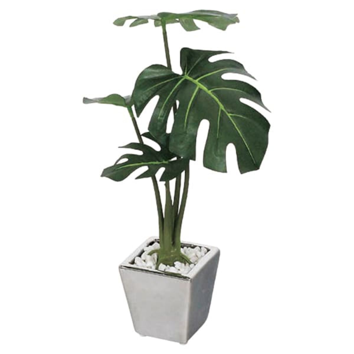 ミニポット GR4108-画像1