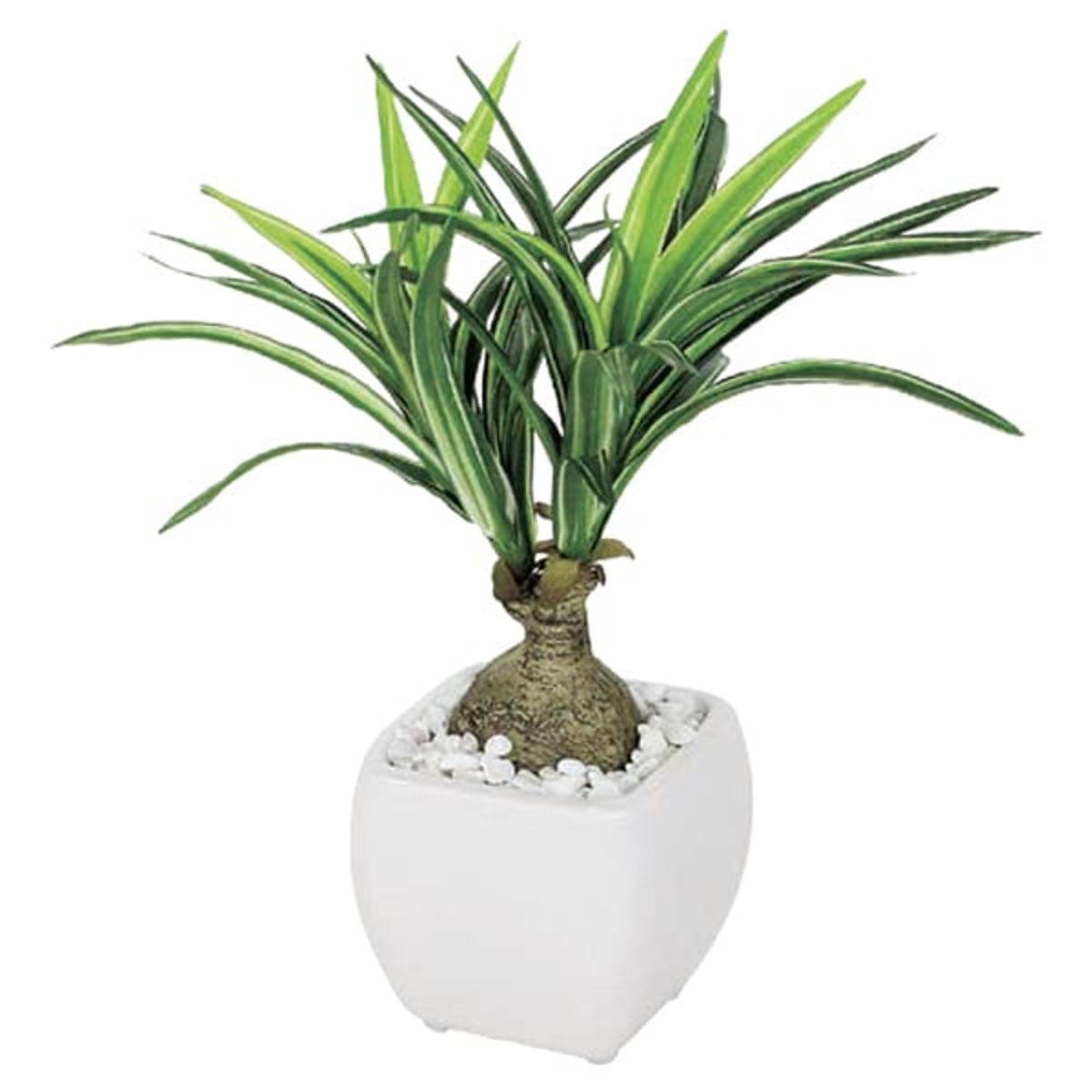 ミニポット GR4111-画像1