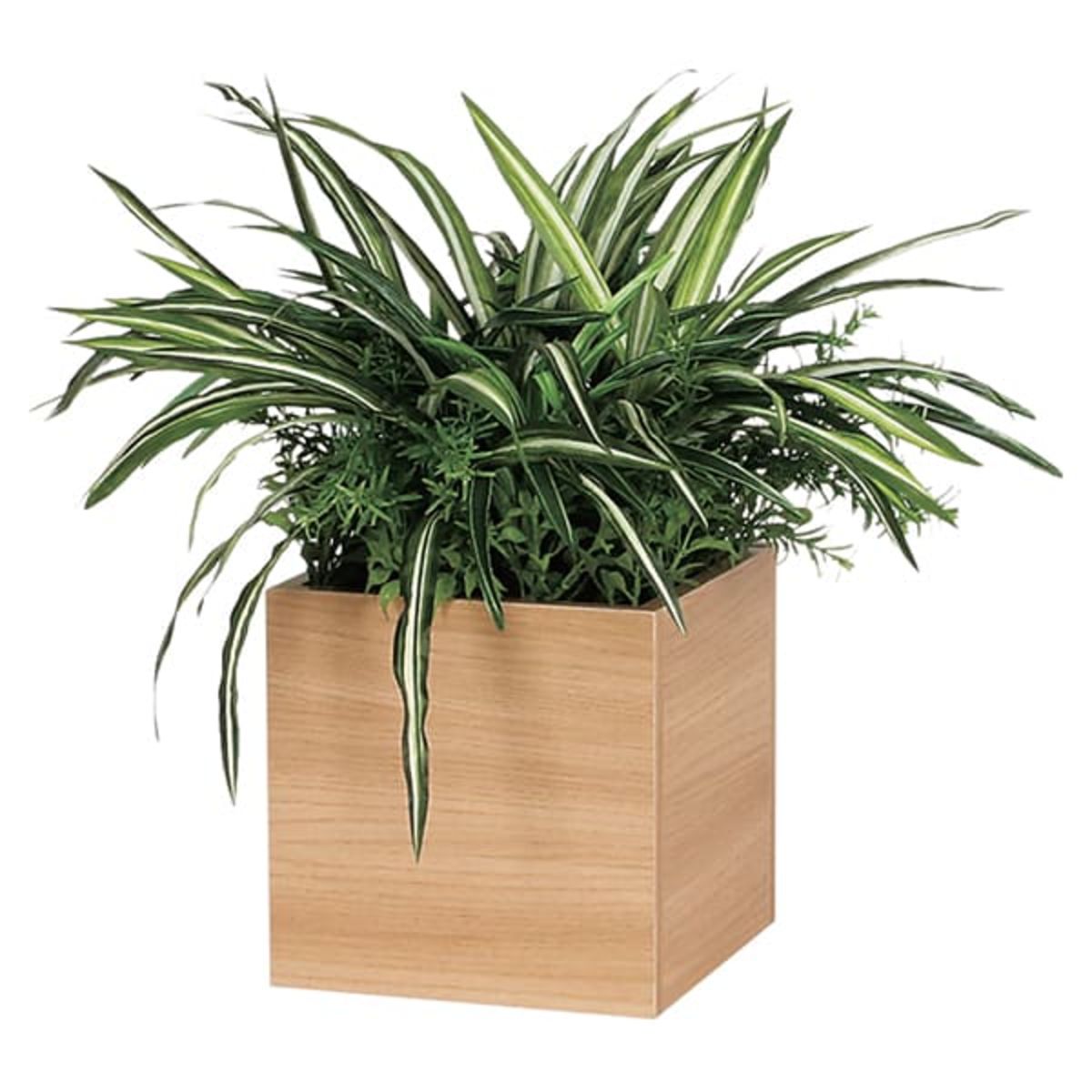 卓上ポット GR4257-画像1