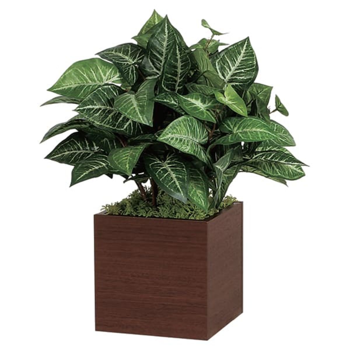 卓上ポット GR4261-画像1