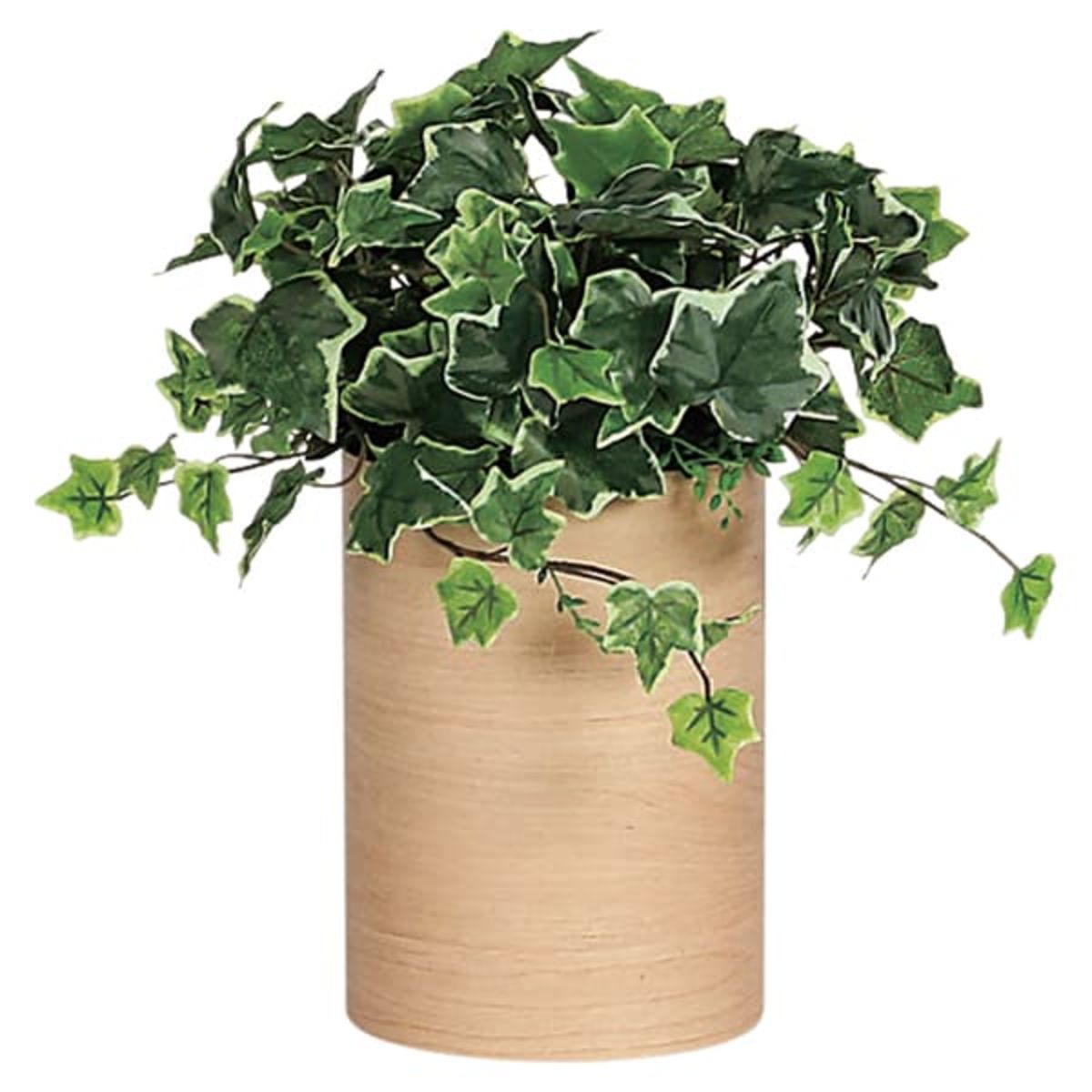 卓上ポット GR4263-画像1