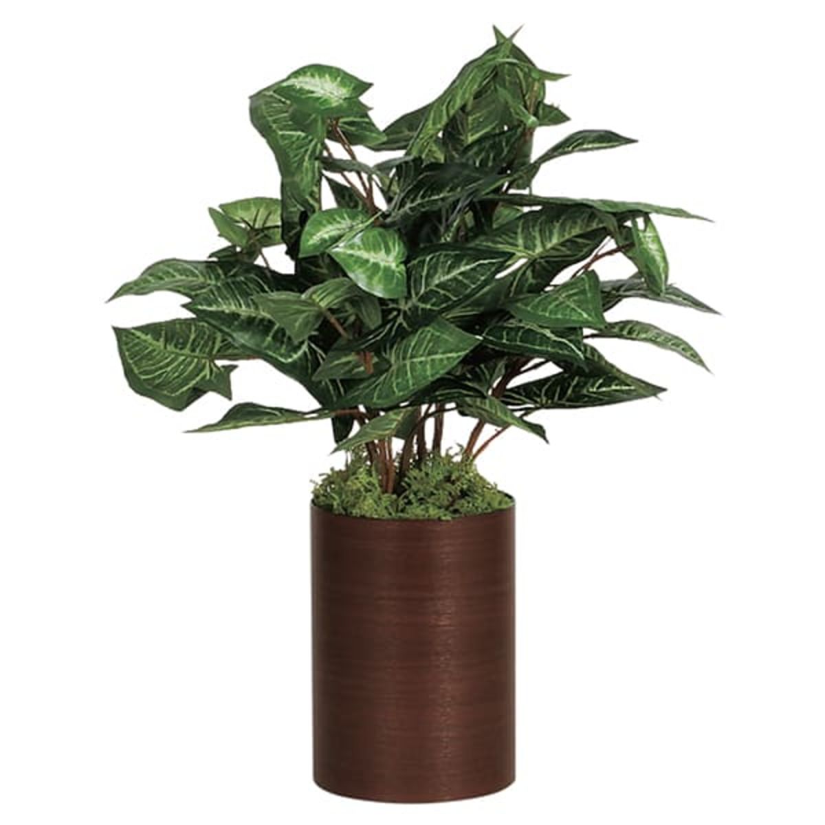 卓上ポット GR4269-画像1