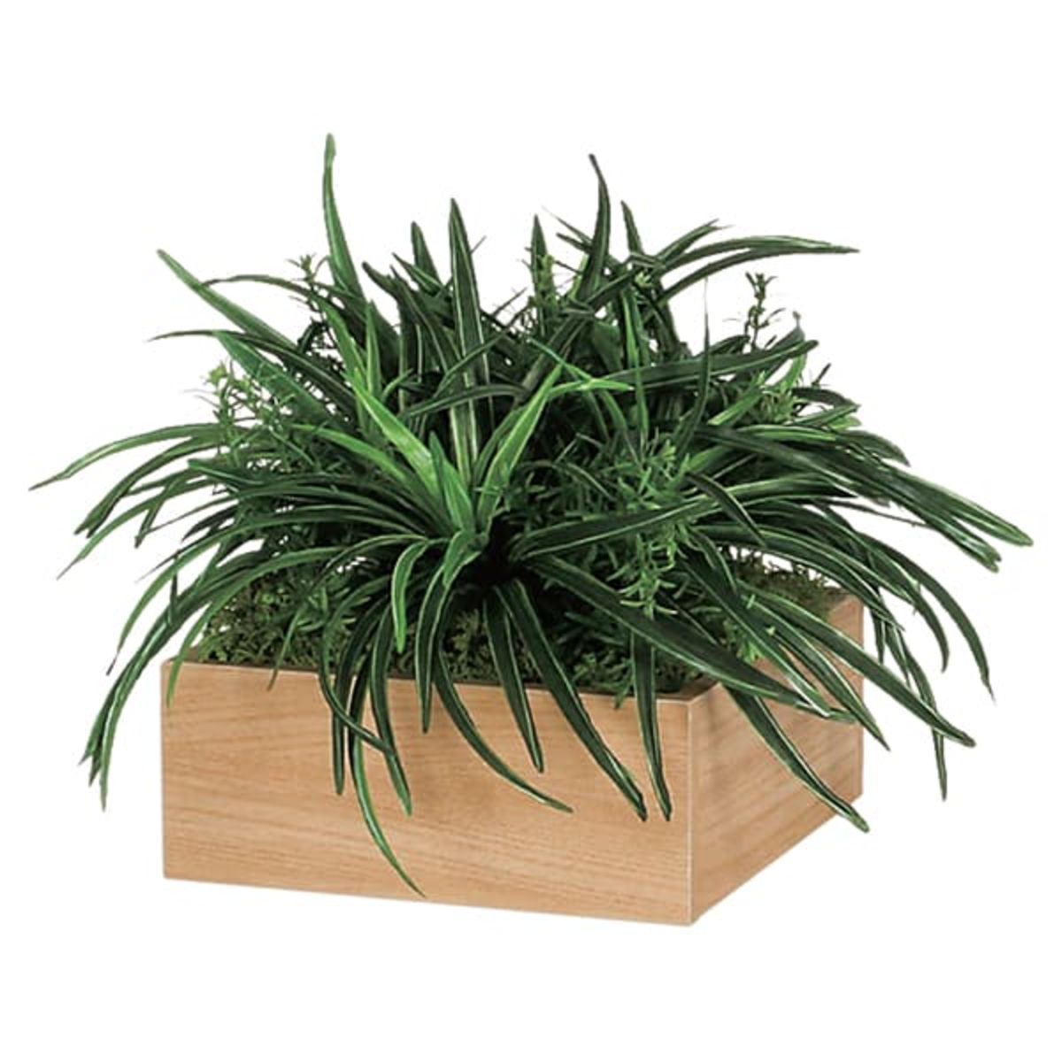 卓上ポット GR4279-画像1