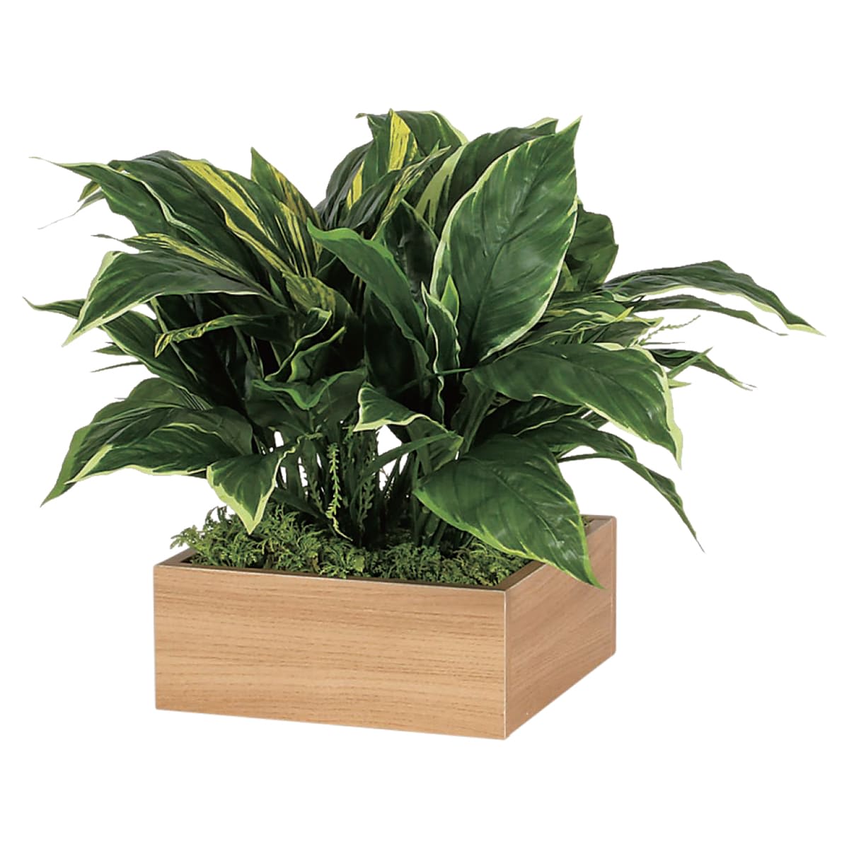 卓上ポット GR4281-画像1