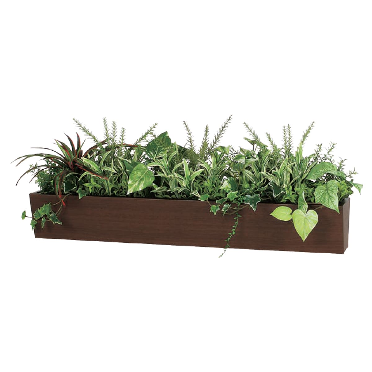 卓上ポット GR4297-画像1