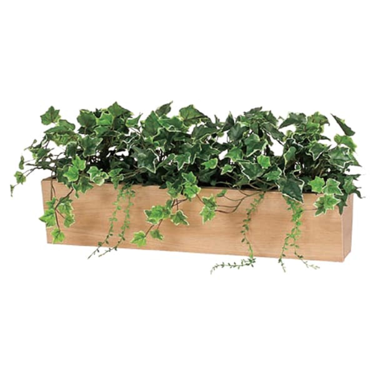 卓上ポット GR4299-画像1