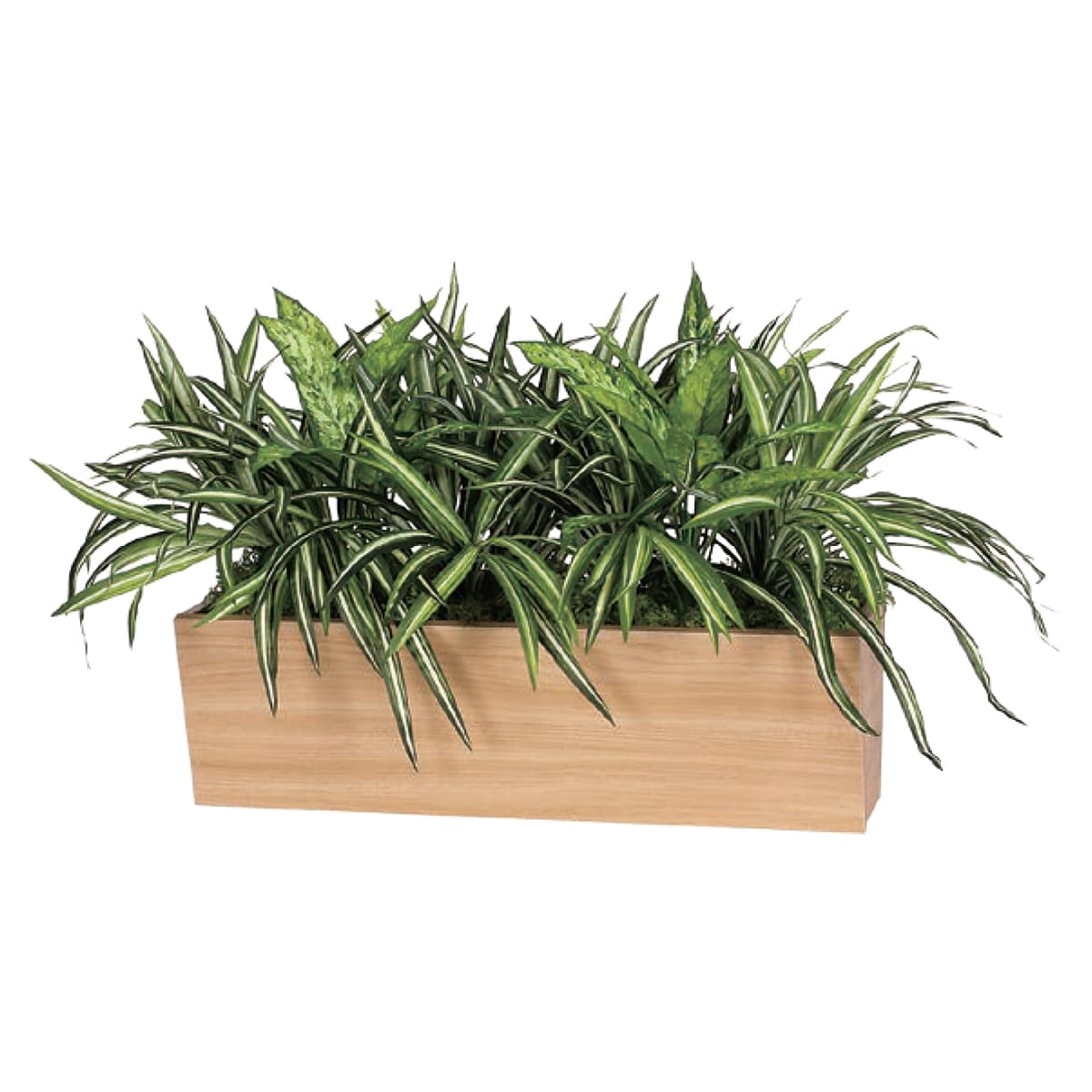 卓上ポット GR4320-画像1