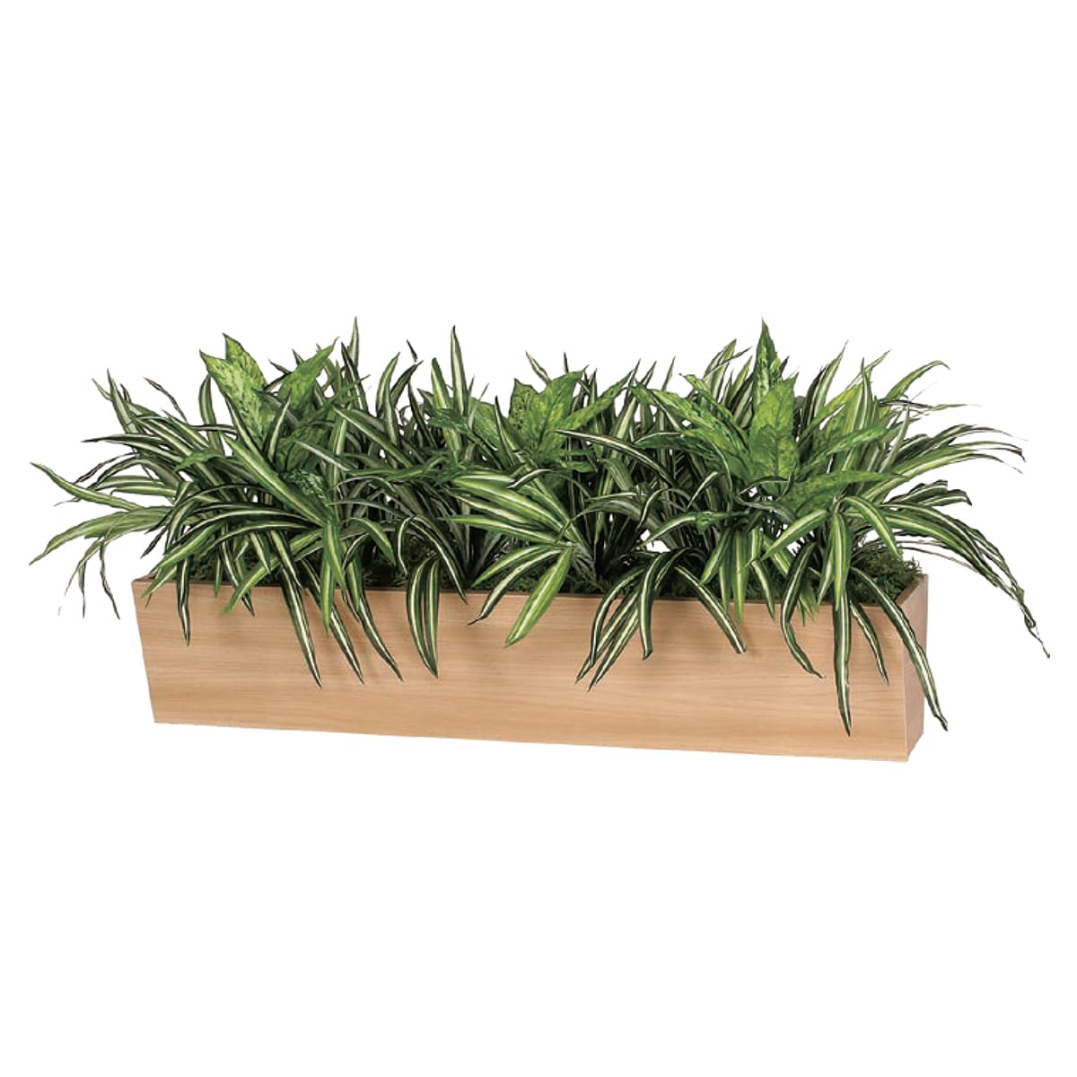 卓上ポット GR4322-画像1