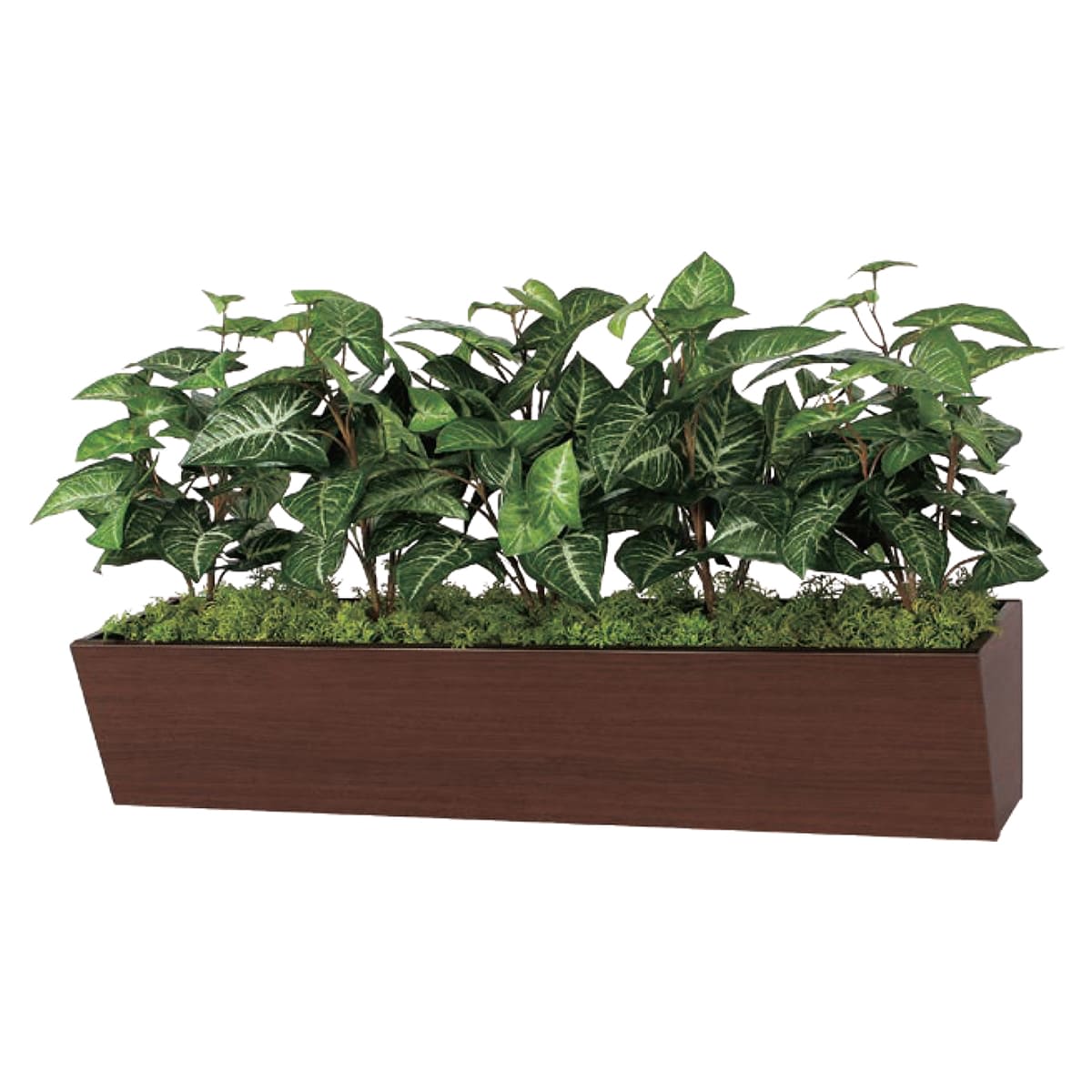 卓上ポット GR4326-画像1