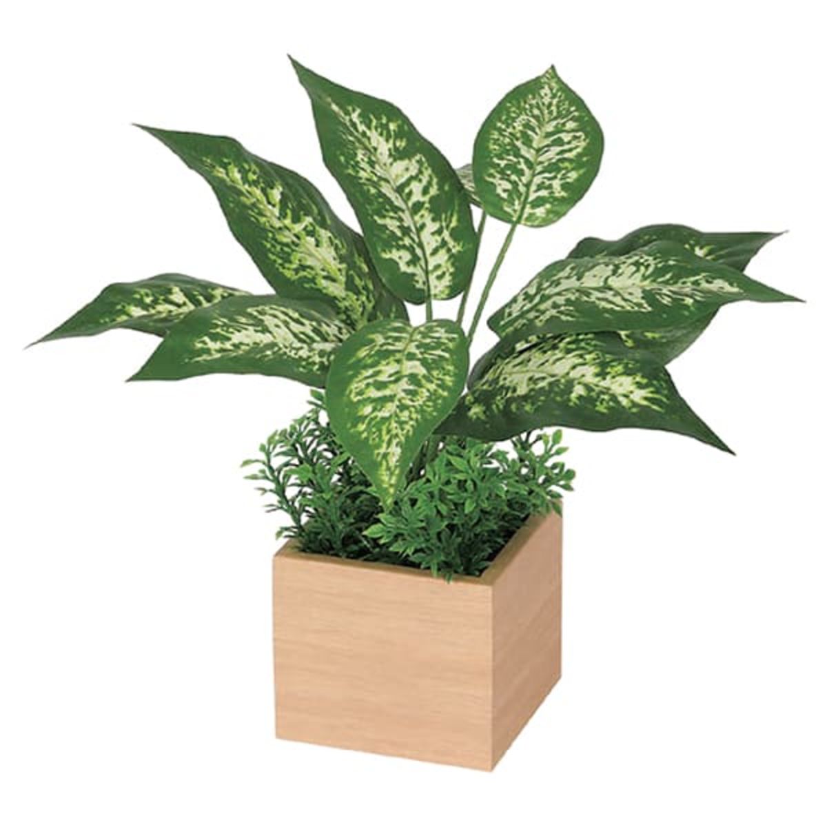 卓上ポット GR4382-画像1