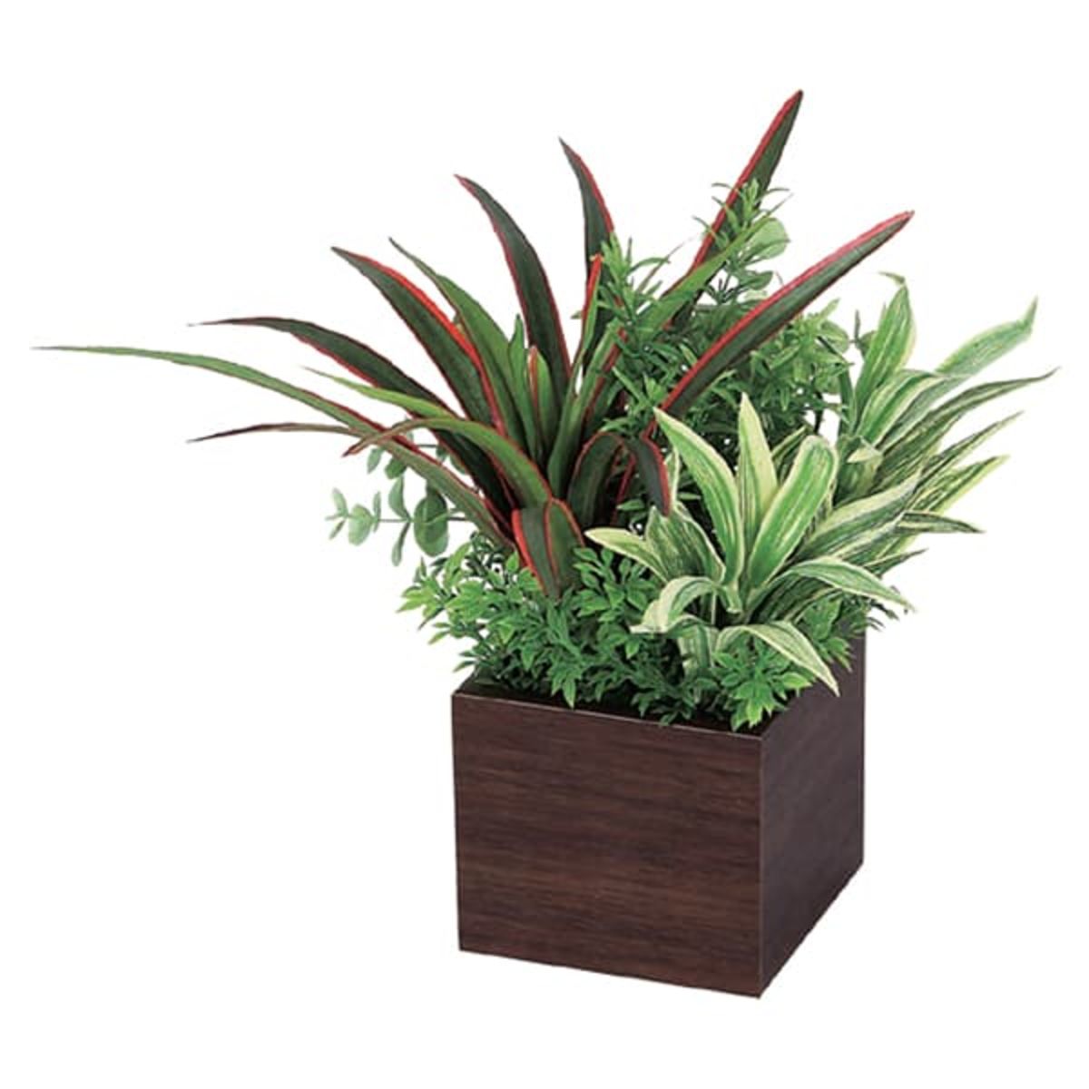 卓上ポット GR4385-画像1