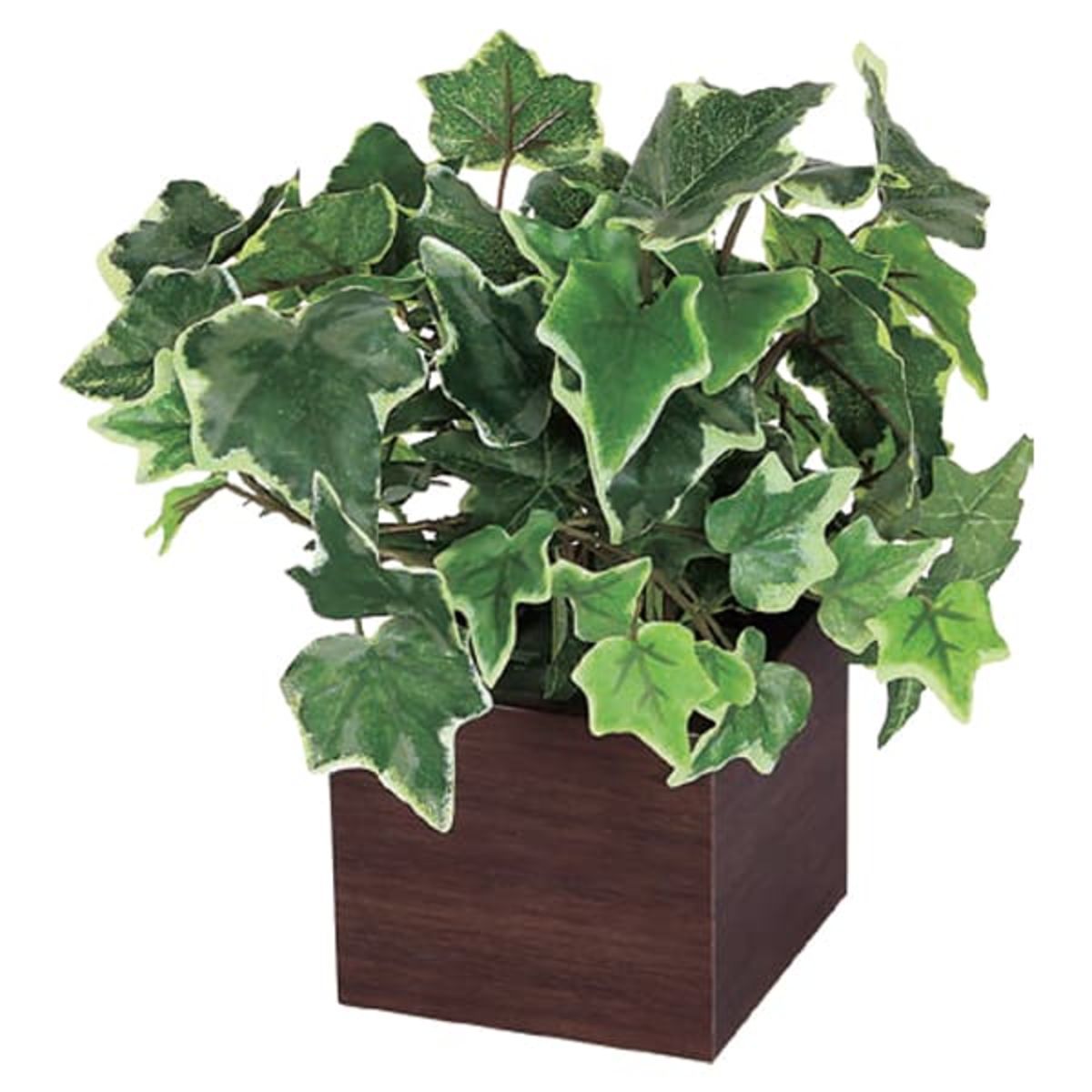 卓上ポット GR4386-画像1