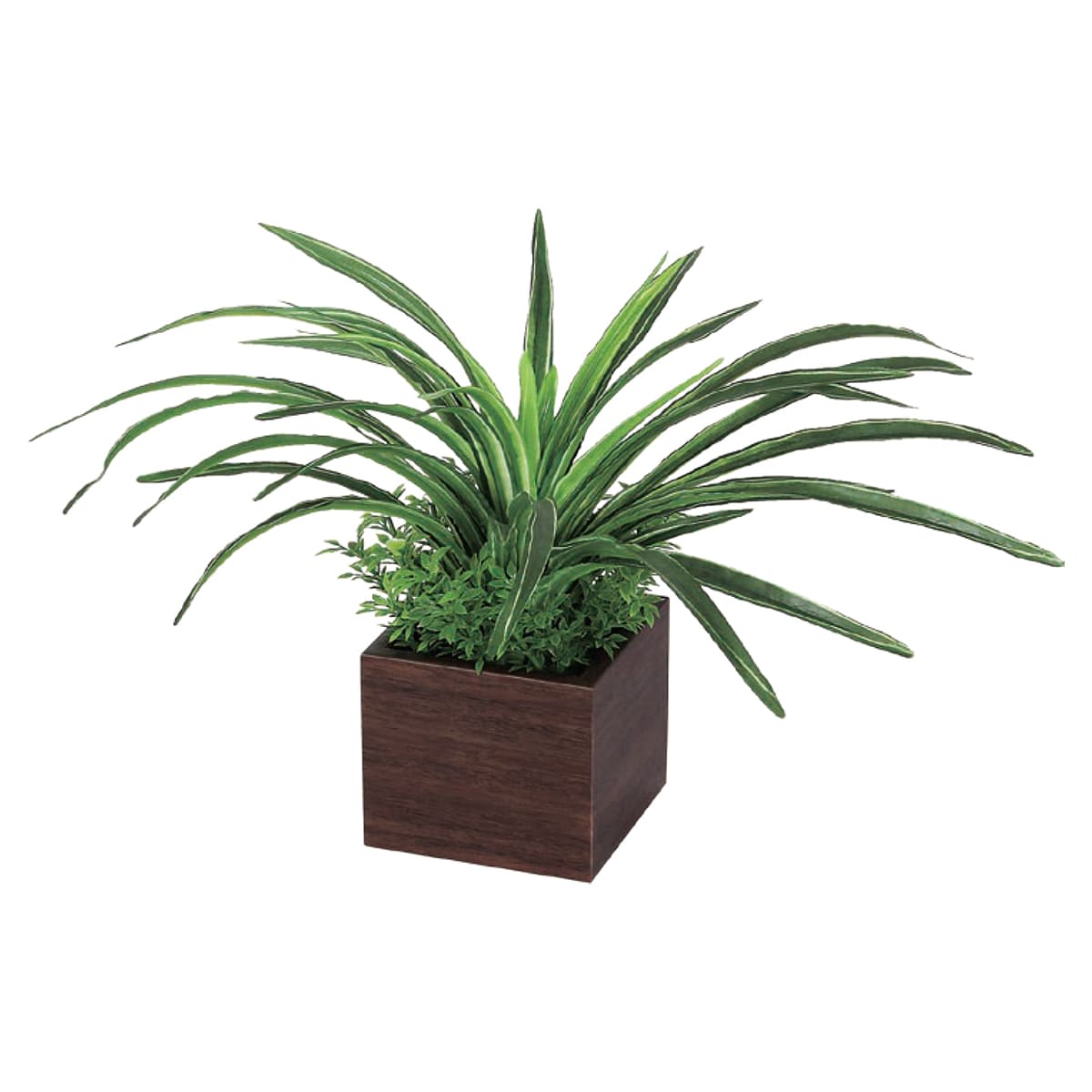 卓上ポット GR4387-画像1