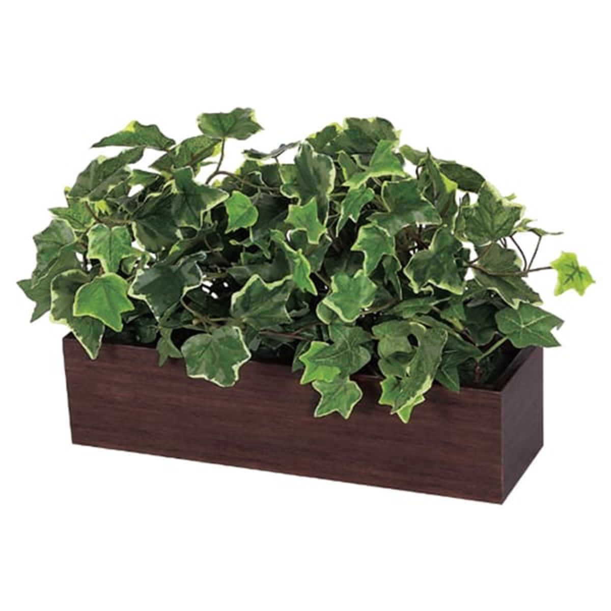 卓上ポット GR4394-画像1