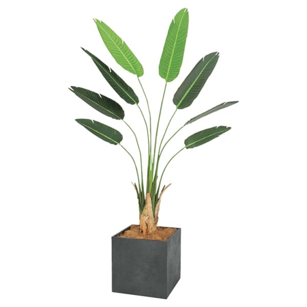 ボックスプランター オーガスタ H2000 GR5003-画像1