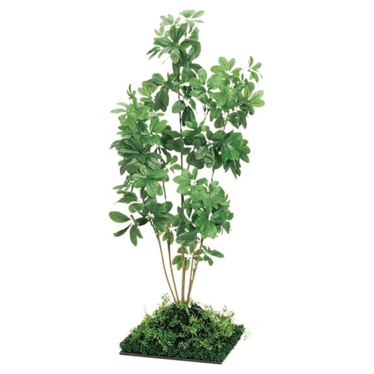 フロアグリーン 45角 シェフレラ H1500 GR5063-画像1