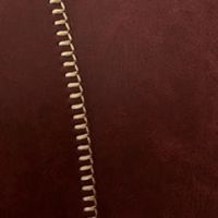 レッドブラウン