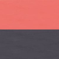 レッド/ブラック