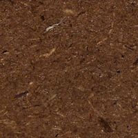 ナチュラル(クリア塗装)