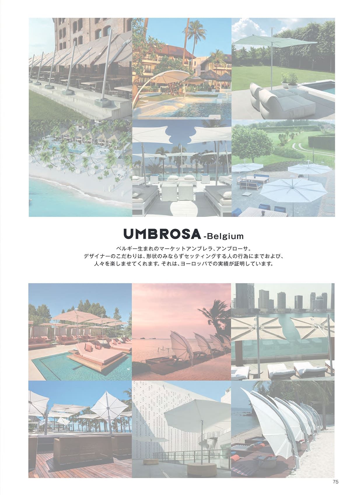 富士 FUJI カタログ P75