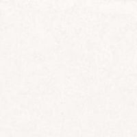 シェルホワイト