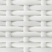 ホワイトウォッシュ