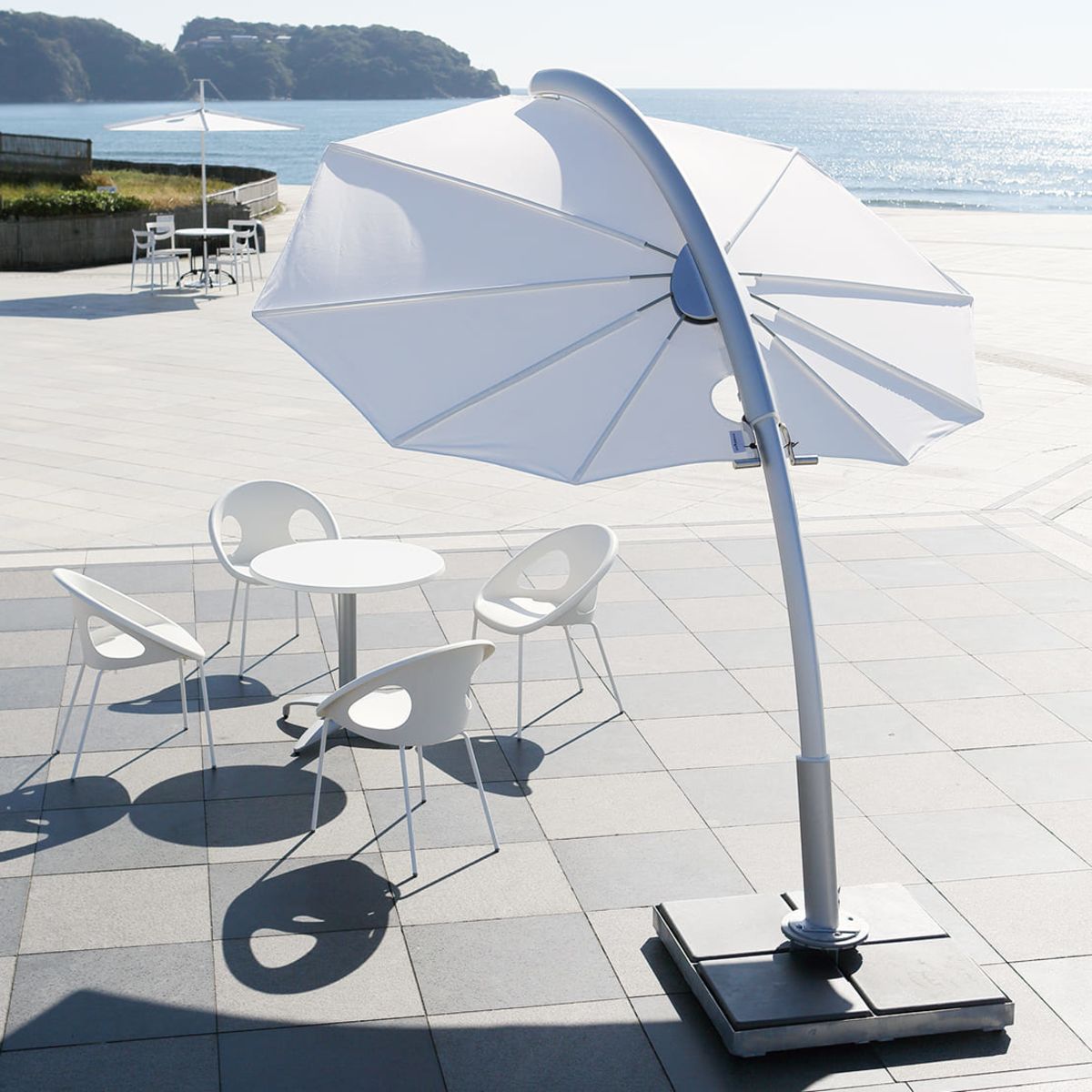 アンブローサ イカロス-画像1