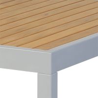 ナチュラル/シルバー