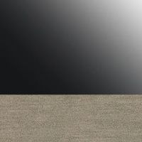 グロスブラック（ステンレス調）