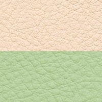 アイボリー/グリーン