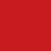 中華朱色(縁黒)