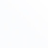 グロスホワイト