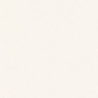 ホワイトアイボリー