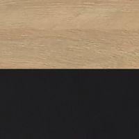 ブラックフレーム／フォレスト