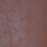 レッドブラウン