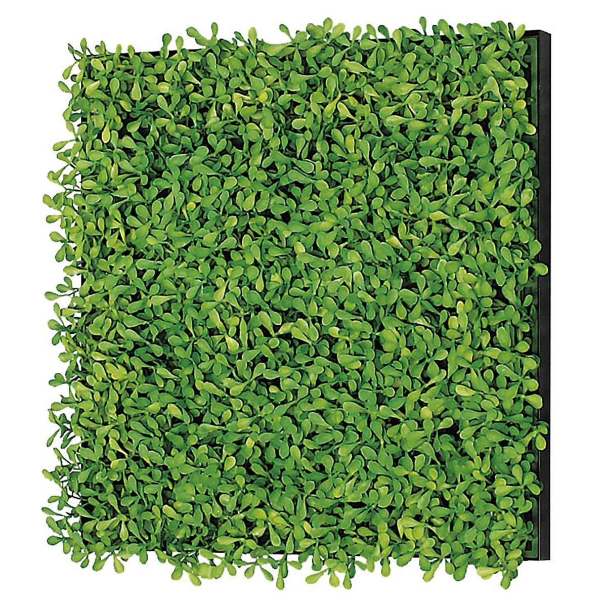 30角 壁面パネル IP-1154-画像1