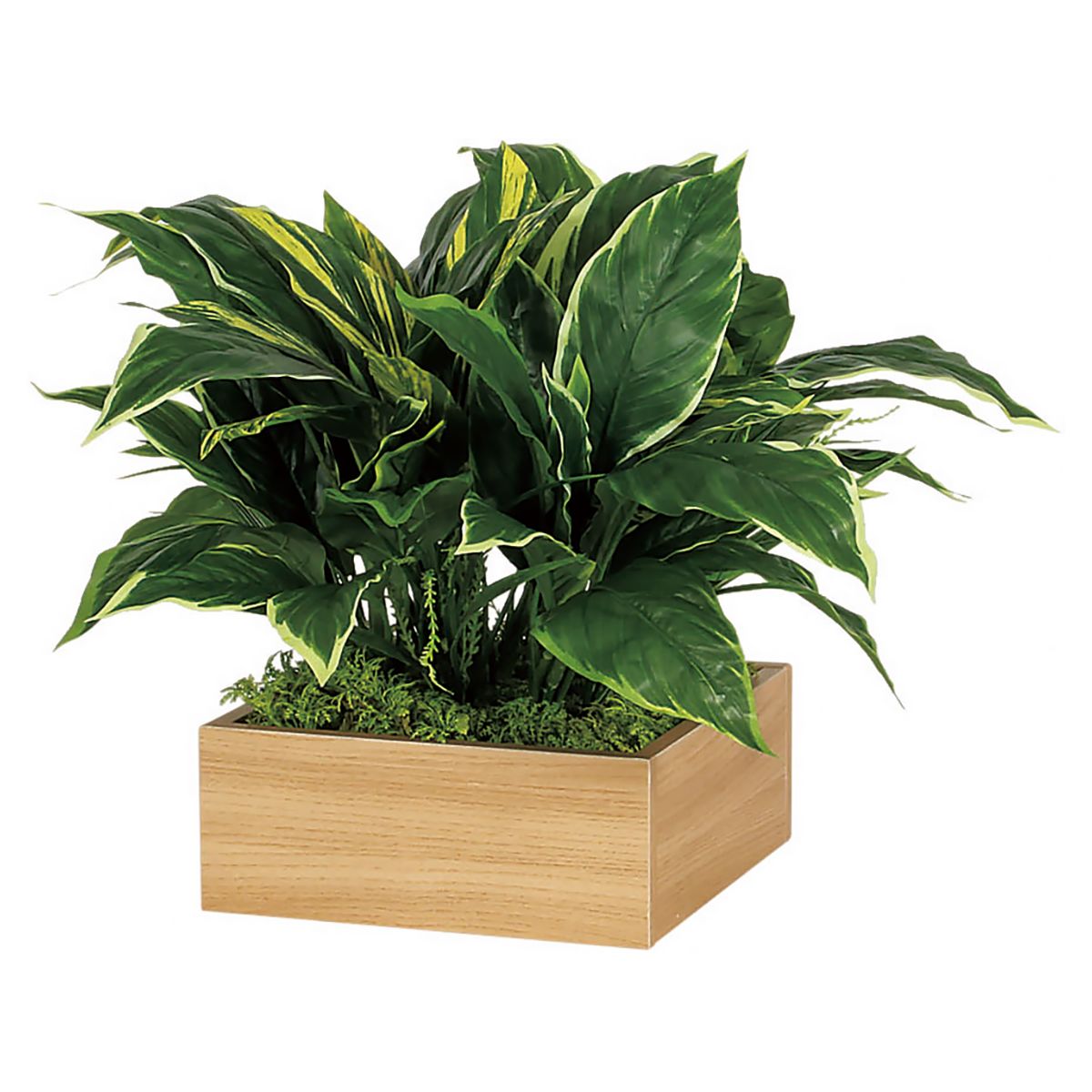 250角 卓上ポット IP-4281-画像1