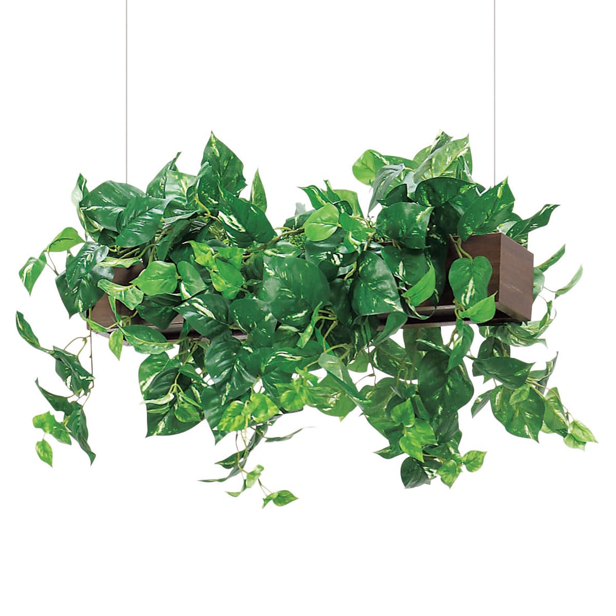 吊り下げ式ポット IP-4450-画像1