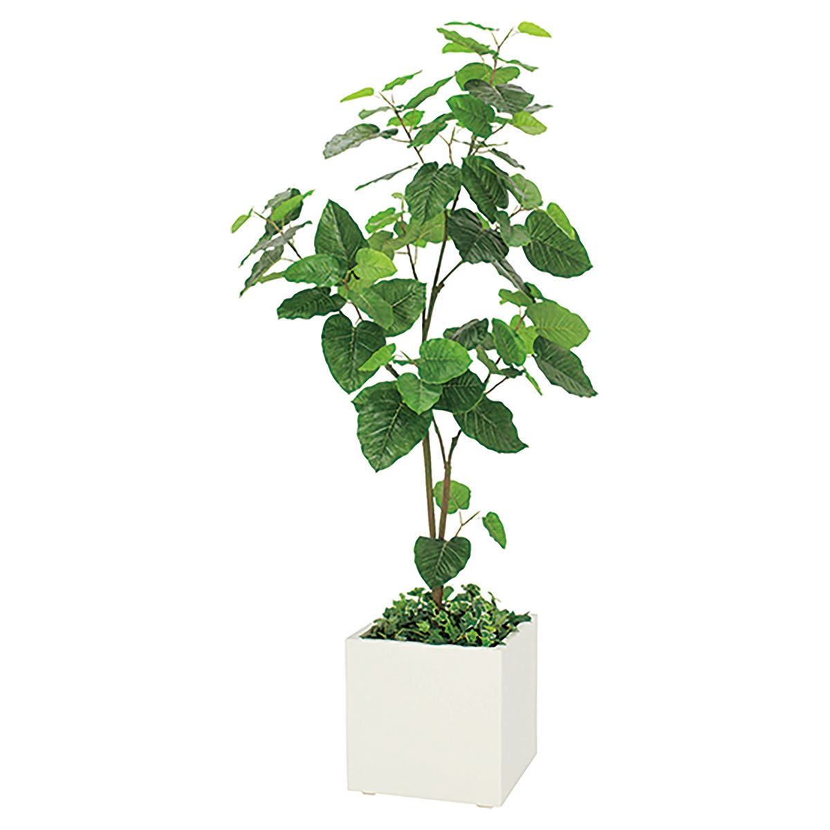 プランター 390角 ウンベラータ IP-5002-画像1