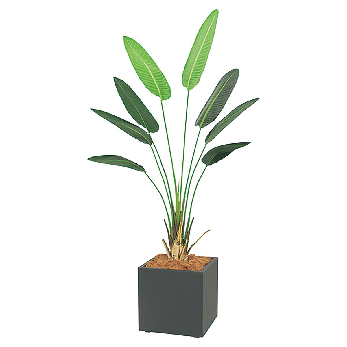 プランター 400角 オーガスタ IP-5003-画像1