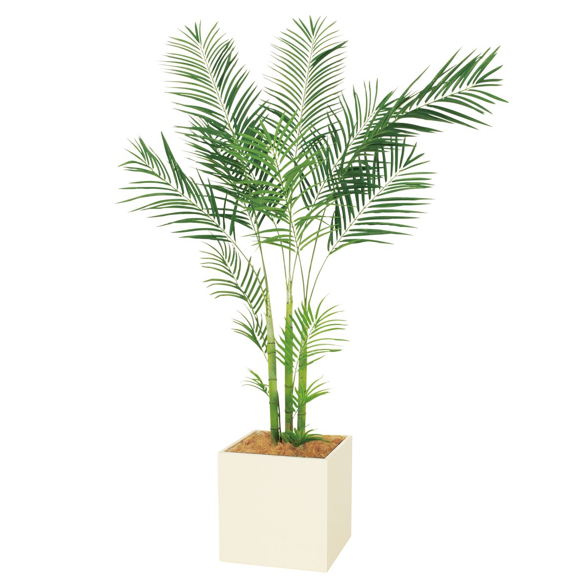 プランター 390角 アレカヤシ IP-5065-画像1