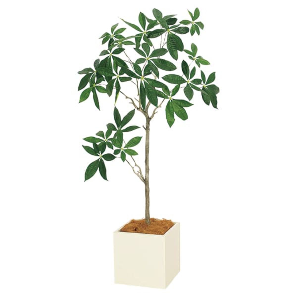 プランター 275角 パキラ IP-5070-画像1