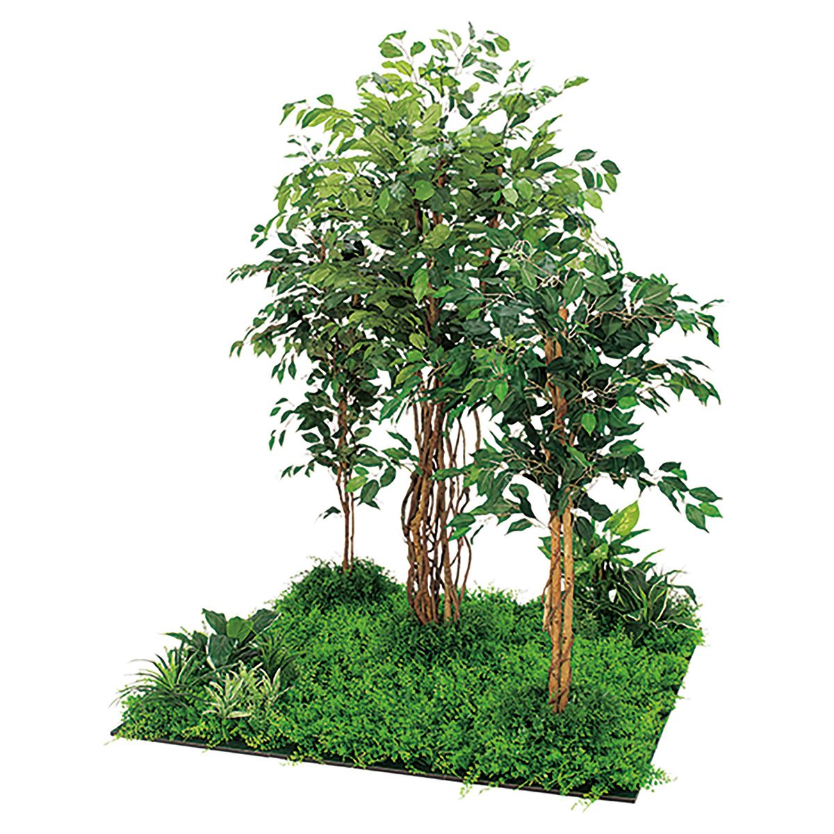 フロアグリーン フィカスベンジャミン 45角9連 IP-5712-画像1