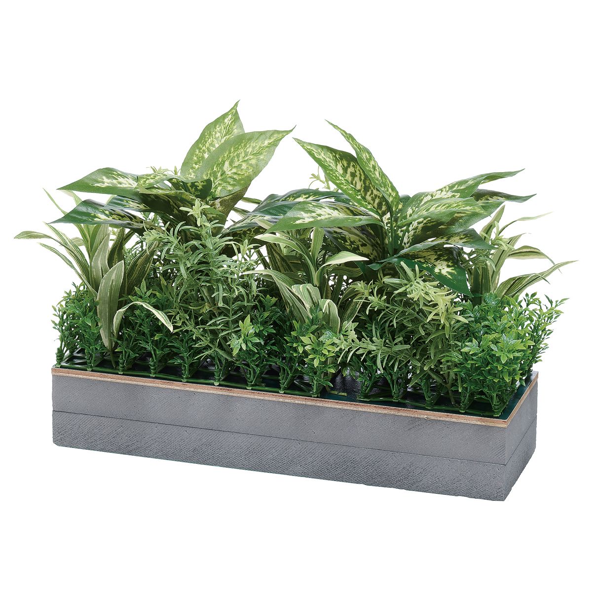 MUE用 コードホールプラント IP-9007M-画像1