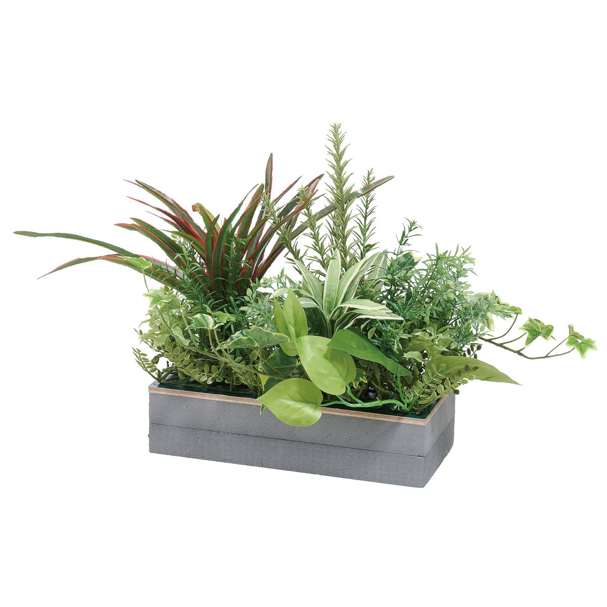 ABW・REV用 コードホールプラント IP-9009AR-画像1