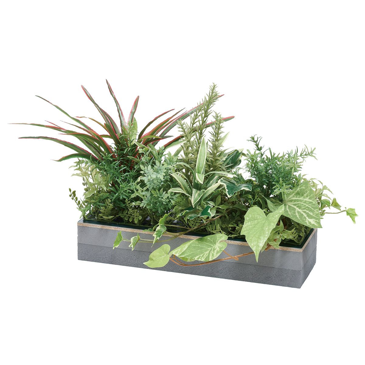 MUE用 コードホールプラント IP-9009M-画像1