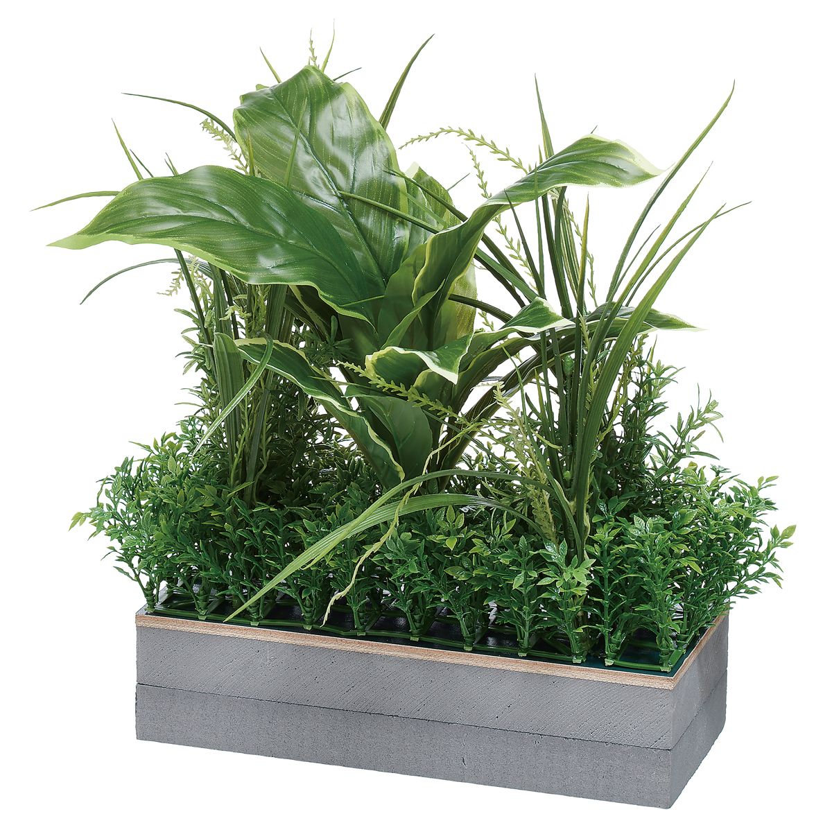 ABW・REV用 コードホールプラント IP-9010AR-画像1