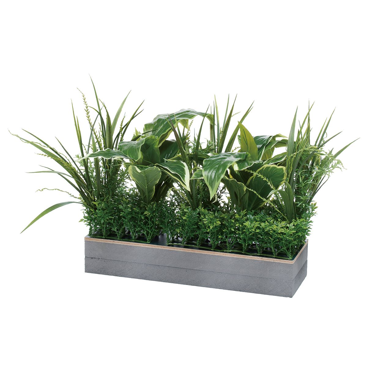 MUE用 コードホールプラント IP-9010M-画像1